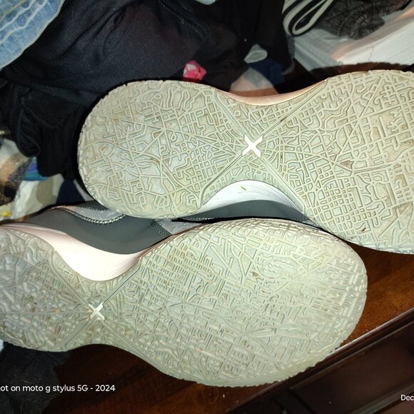 Lebrons - Picture 2 of 2